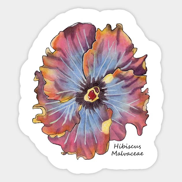 Hibiscus Flower Watercolor hibiscus malvaceae Sticker by artsytee